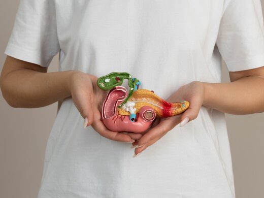 La&#x20;graisse&#x20;intrapancr&#x00E9;atique,&#x20;cause&#x20;principale&#x20;des&#x20;maladies&#x20;du&#x20;pancr&#x00E9;as