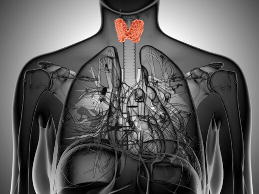Hypothyroïdie et prise de poids